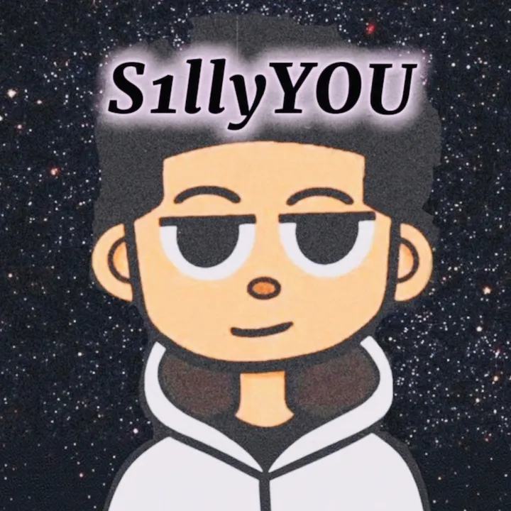 s1llyyou