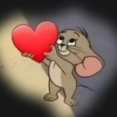 @gordo12363
