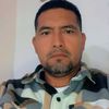 gallosfinoscalifornia78