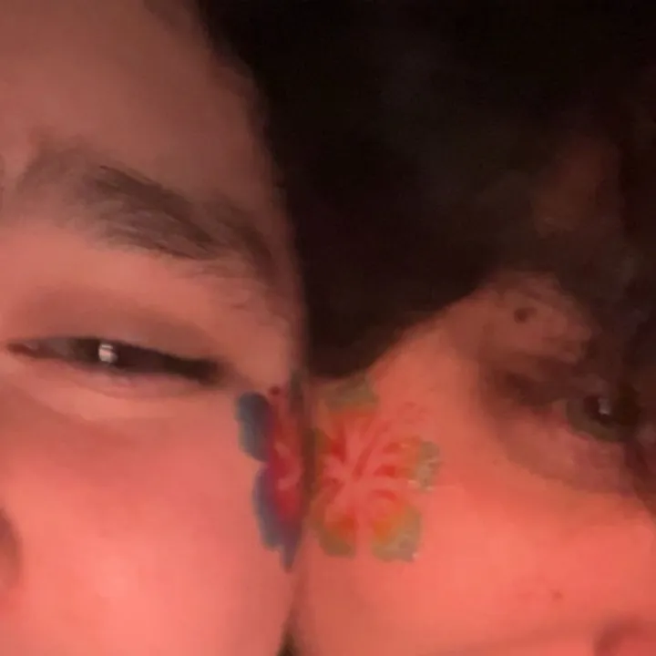 @bashfulturtle11