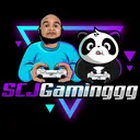 @scjgaminggg