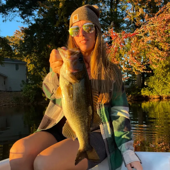 bigbassgirl