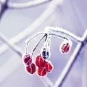 @mag3rav3n