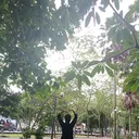 @absidi.com