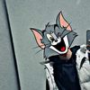 tom_ht_ff