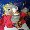 @charles_the_squirrel