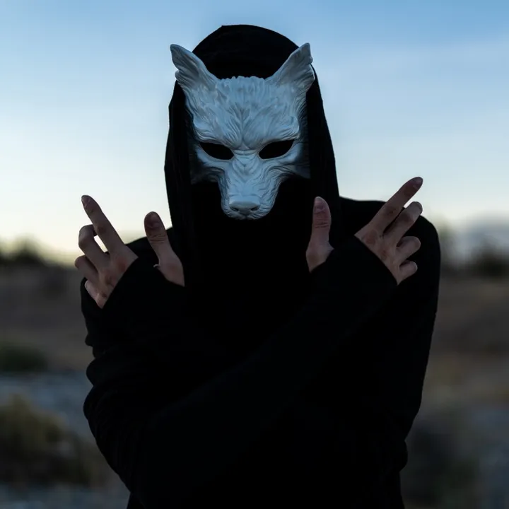 @thunderwolfofficial