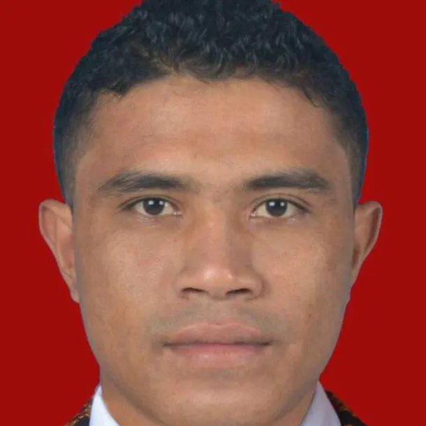 vicelsobajawa_