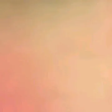 @stupidbittchs