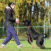 tj_dogsport