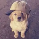 @ryry0416