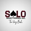 soloselecthorses