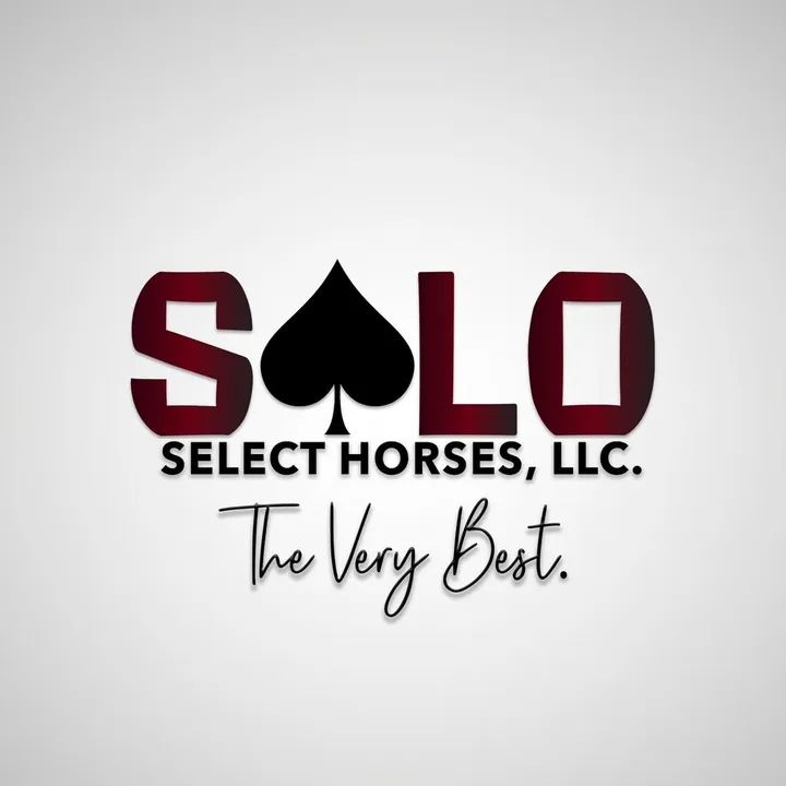 @soloselecthorses