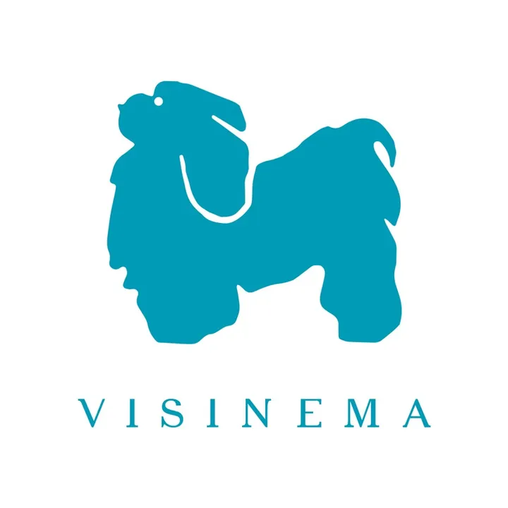 visinemaid