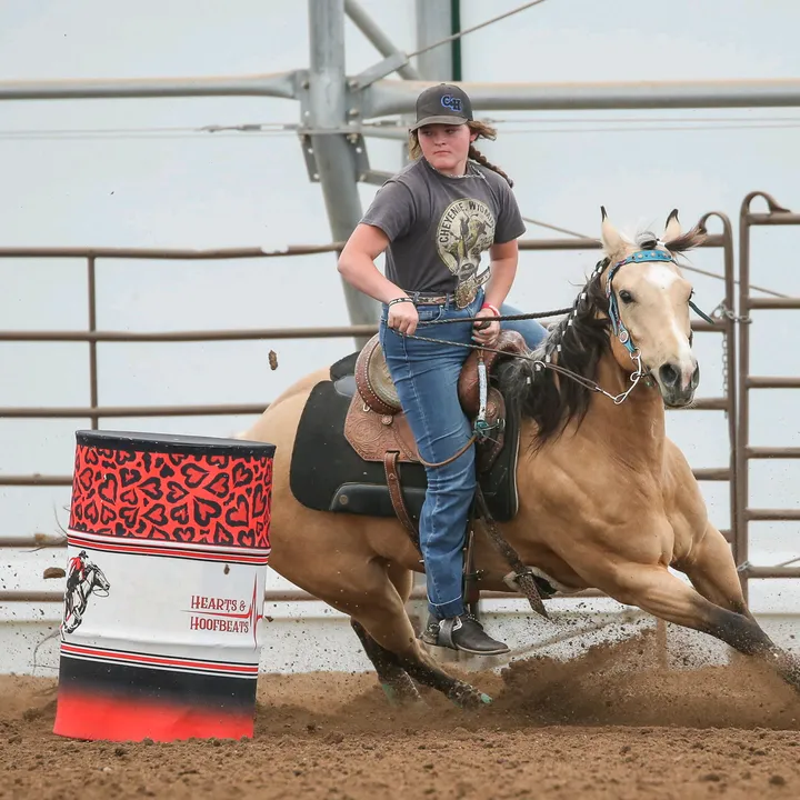 @whitleespammm
