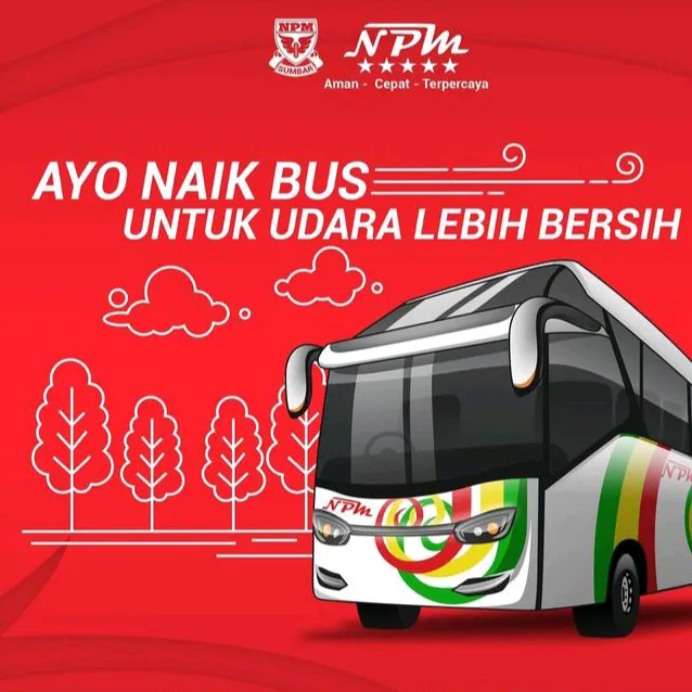 busnpm_barehsolok