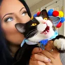 @lenny_lu