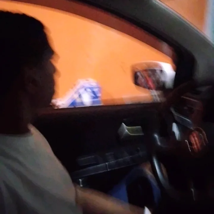 @palmeirante