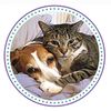 onlykindnessrescue