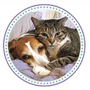 @onlykindnessrescue