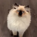 @funnyp87