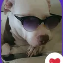 @yupi2020
