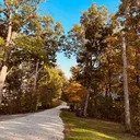 @cozy.house.in.the.woods