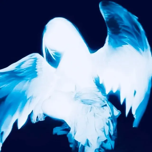 @__v.al_