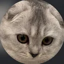 @spoonisnotacat
