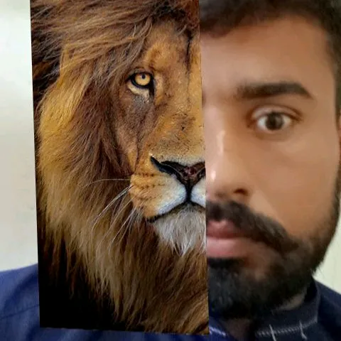 @dilshadhussain785