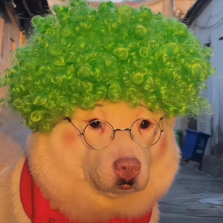 funnyanimalvideo99