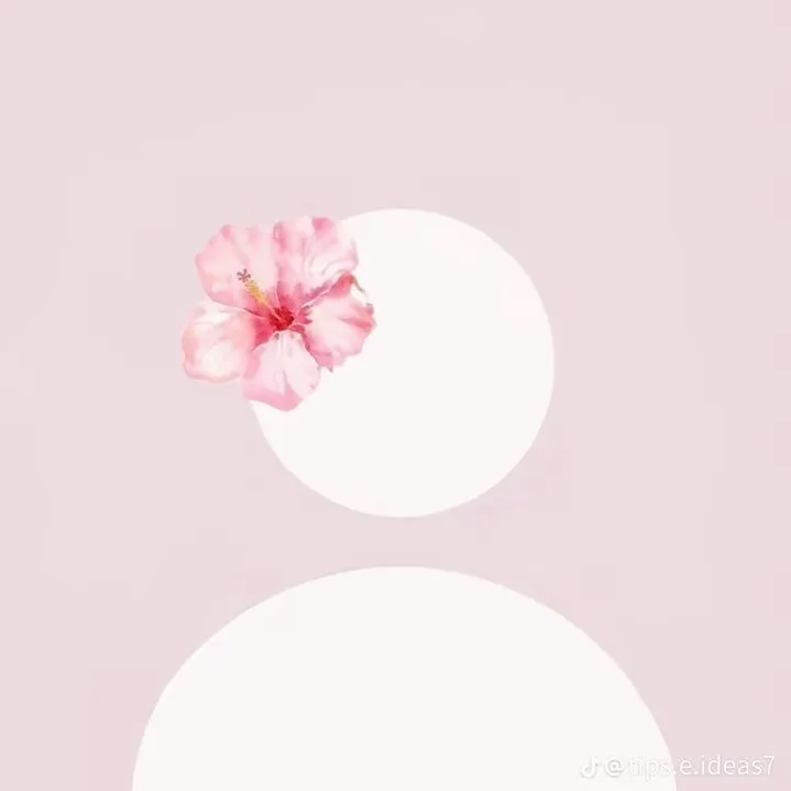evelynlifestyle0