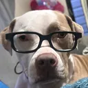 @304braxton
