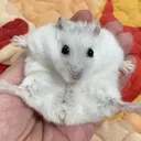 @guill9858