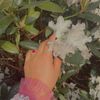 aahilraja015