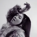 @pengpengclee