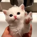 @alexx_idk123