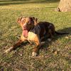 waylonthecatahoula