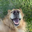 @prosthetically_feral