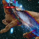 @galaxycat7778