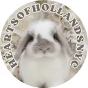 @heartsofhollandsnyc