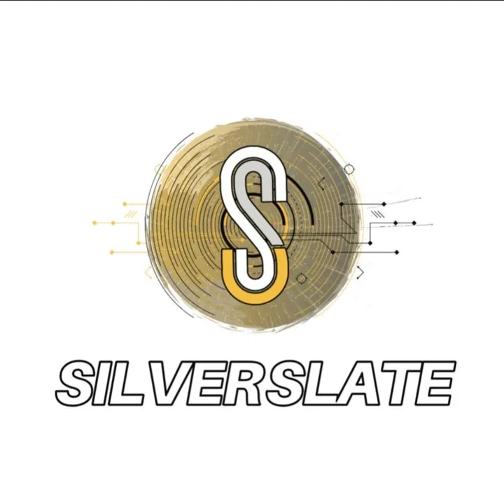 @silverslatestore