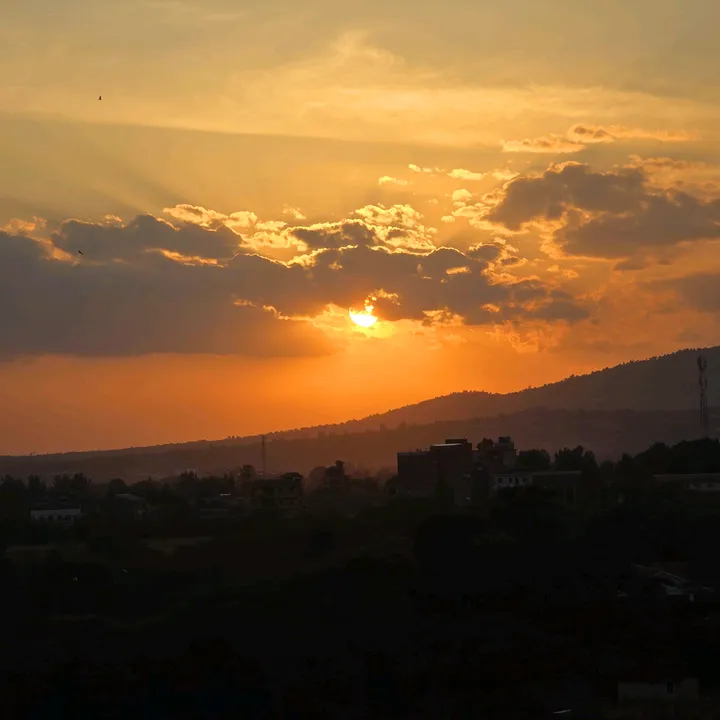 lizzygakuru
