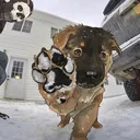 @ghost0_001