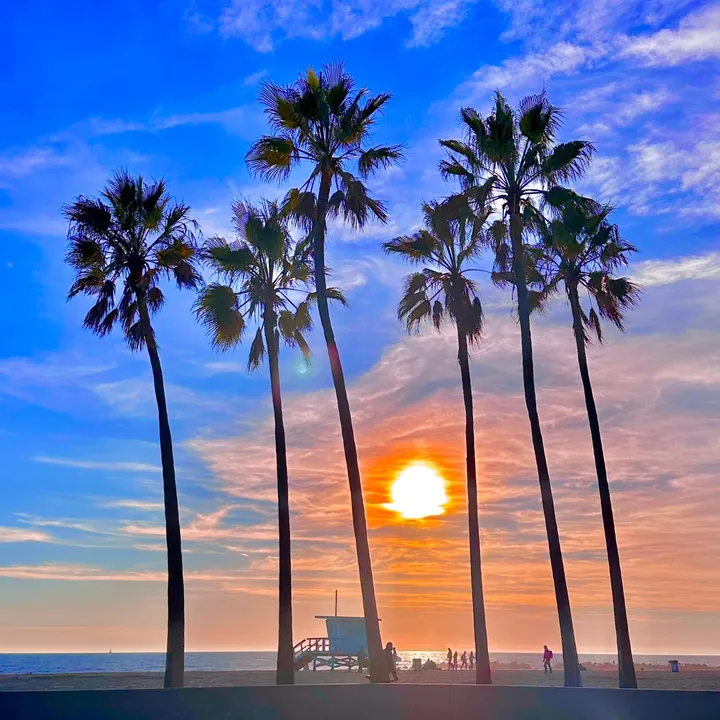 @venice_beach_boardwalk