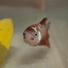 betta.fish658