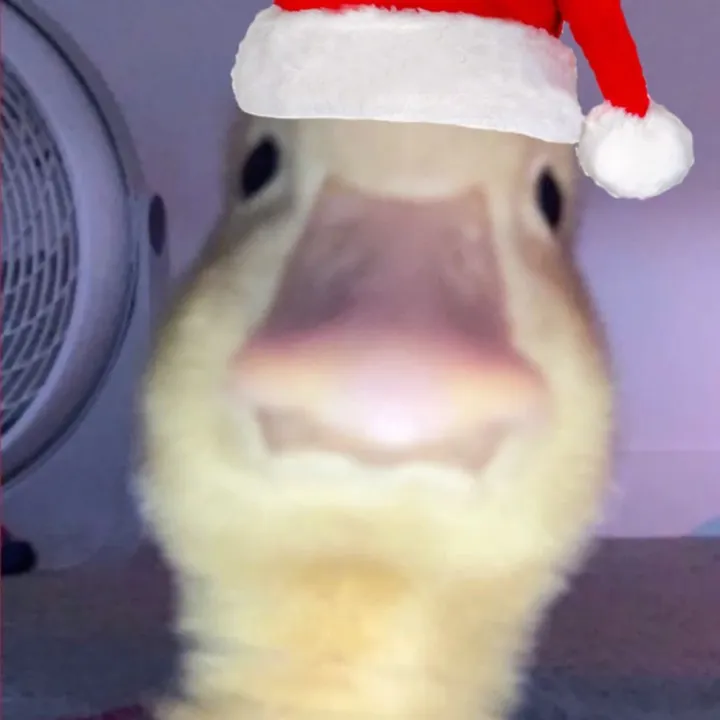@mac.and.cheese272