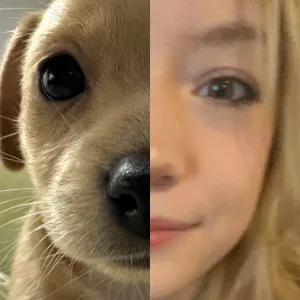 bug.cel