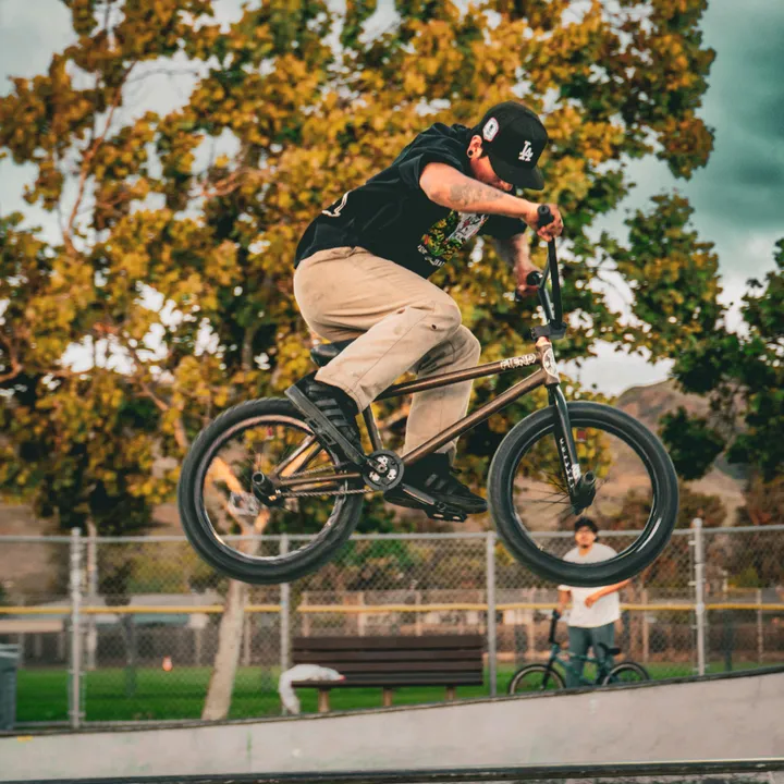 209bmx