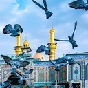 @adil_jan512